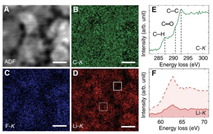 Yujun Xie Published a Work in Science Advances